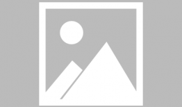 麻豆目,探寻自然界的神秘生物之谜